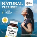 wild-organic-mullein-leaf-90-capsules-as-2.jpg