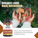 ancient-bliss-lion-s-mane-supplement-2-m-4.jpg
