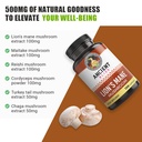 ancient-bliss-lion-s-mane-supplement-2-m-5.jpg