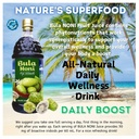 bula-noni-juice-by-morinda-original-and--4.jpg