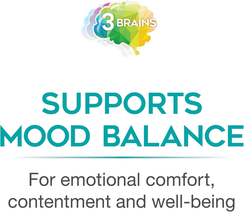3-brains-by-natural-factors-mental-sunsh-6.jpg