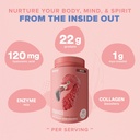 birdman-fitmingo-vegan-protein-powder-wi-4.jpg