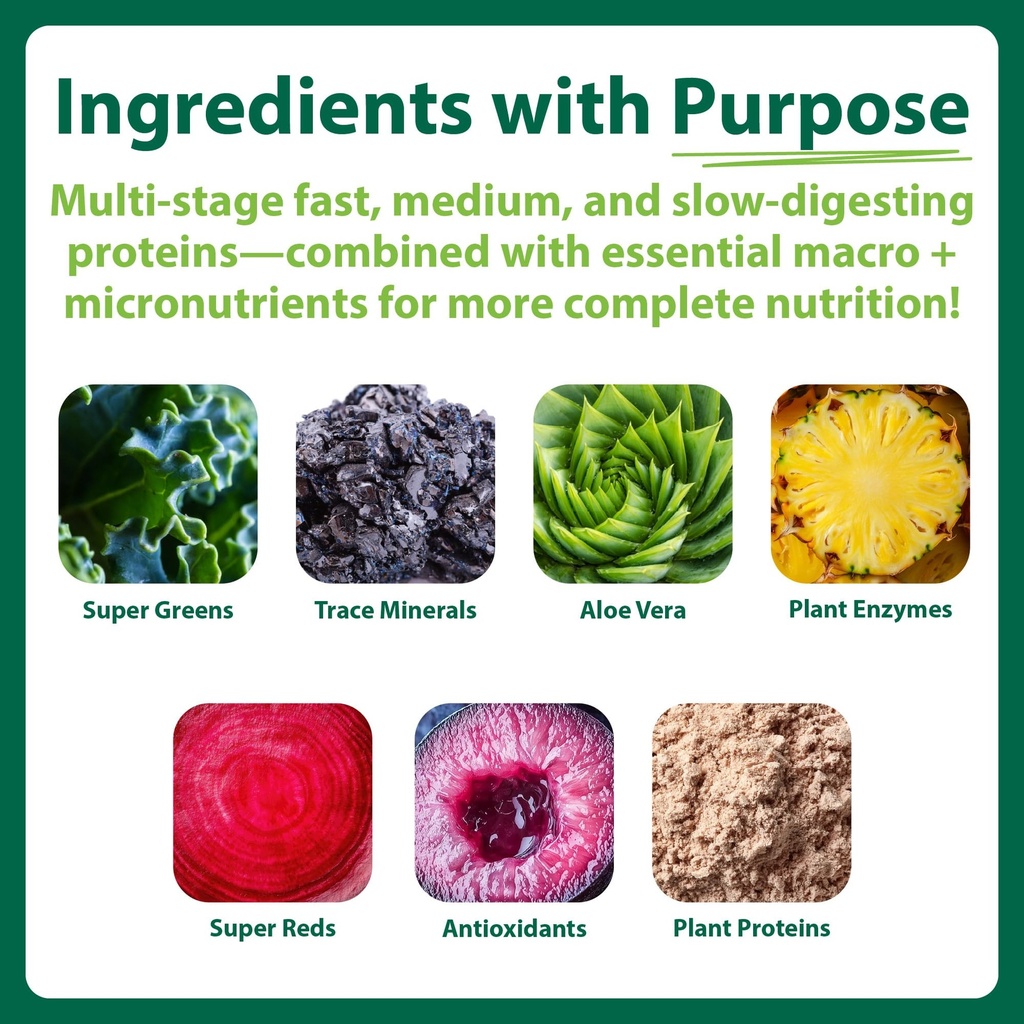 macrolife-naturals-macromeal-chocolate-v-2.jpg