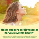 generic-vitamin-b6-supplement-spring-val-5.jpg