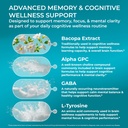 purehealth-research-ageless-brain-supple-4.jpg