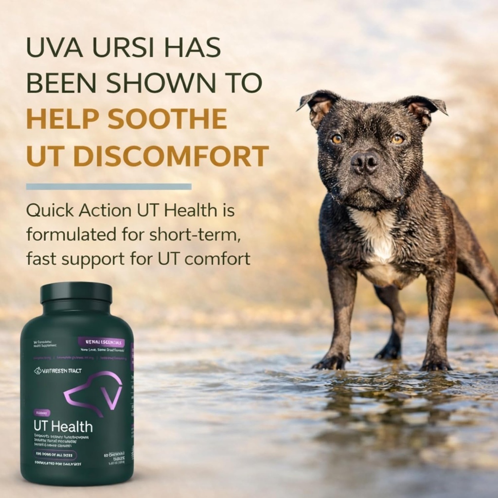 vetriscience-quick-action-ut-health-chew-2.jpg