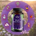 black-elderberry-capsules-200-count-samb-5.jpg