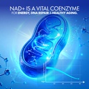 nad-supplement-nmn-alternative-with-lipo-6.jpg
