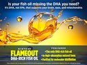biotest-flameout-5x-dha-fish-oil-4200mg--3.jpg