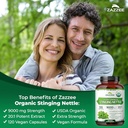 zazzee-herbal-prostate-support-bundle-or-5.jpg