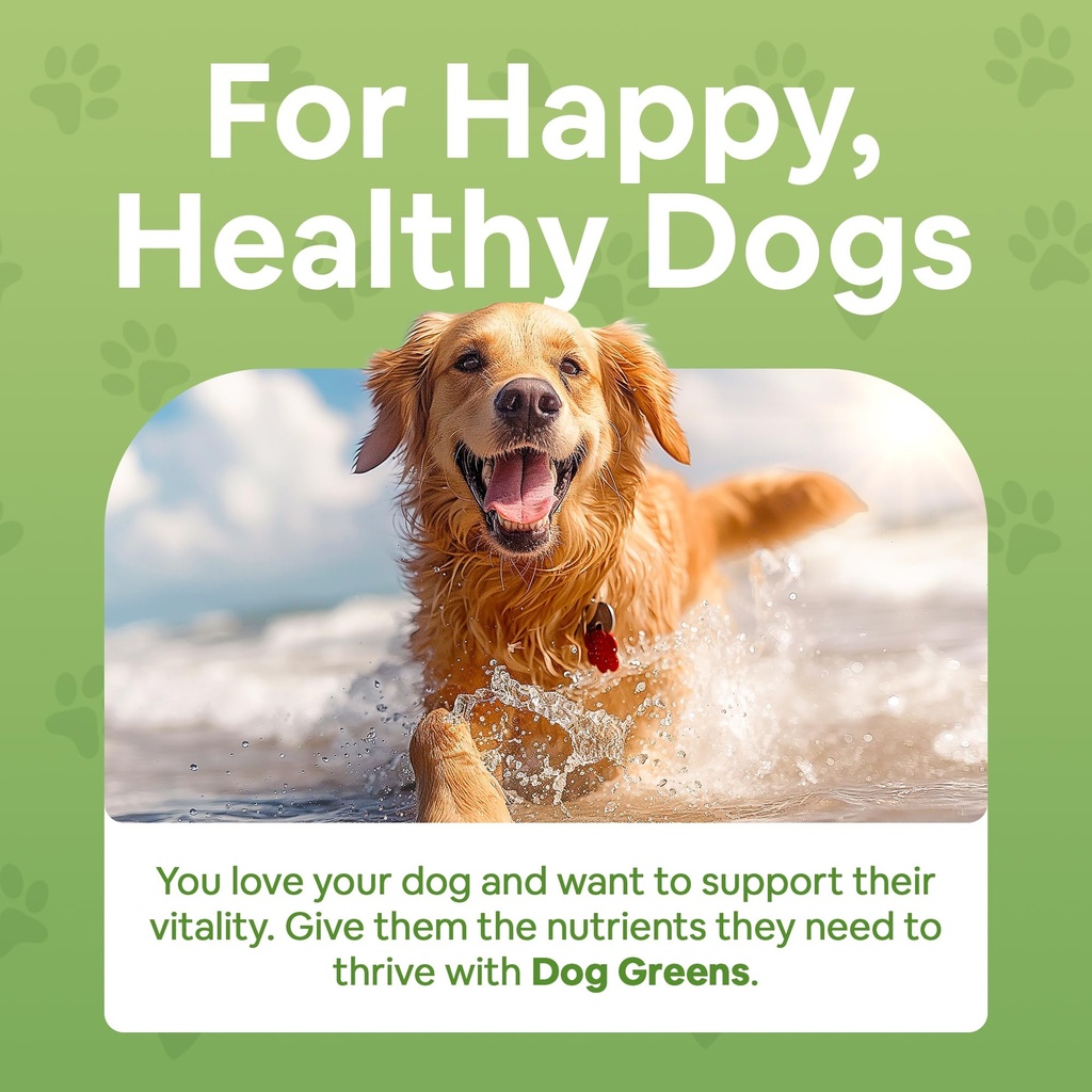superfood-multivitamin-powder-dog-vitami-3.jpg