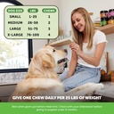 grass-green-dog-urine-neutralizer-for-la-5.jpg
