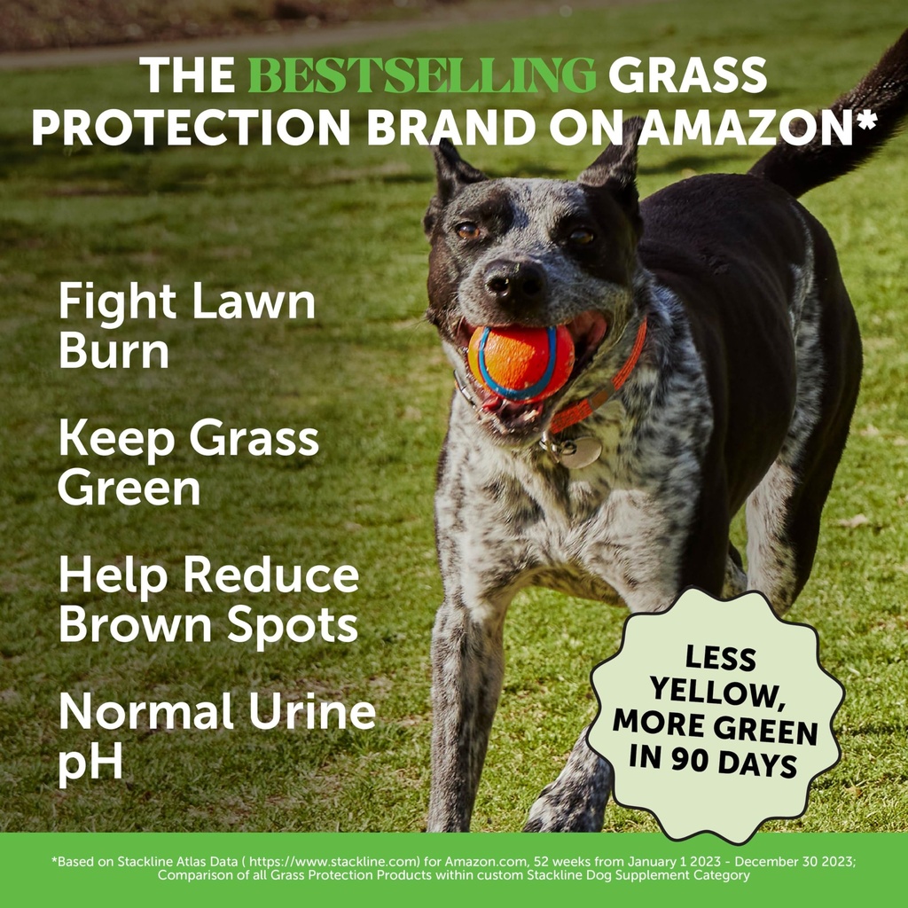 grass-green-dog-urine-neutralizer-for-la-2.jpg