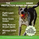 grass-green-dog-urine-neutralizer-for-la-2.jpg
