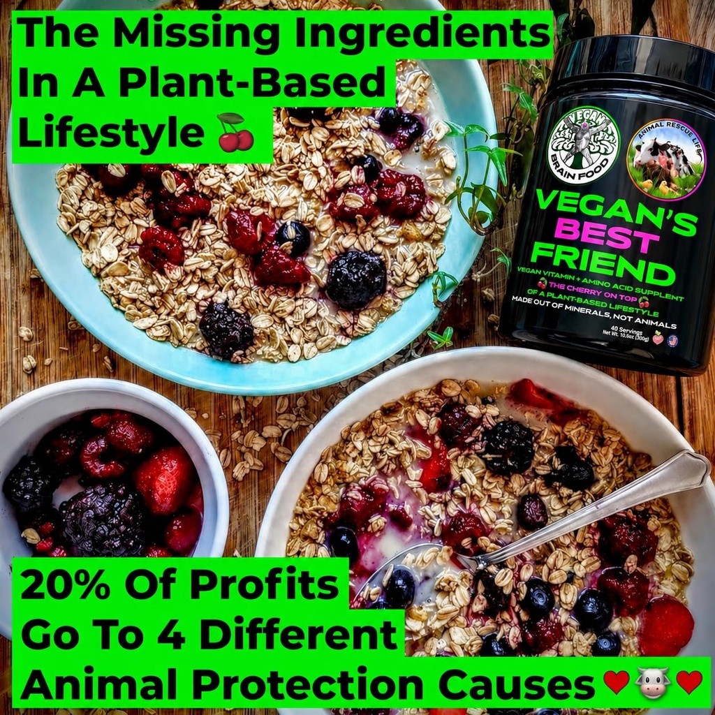 vegan-s-best-friend-plant-based-multivit-2.jpg
