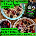 vegan-s-best-friend-plant-based-multivit-2.jpg