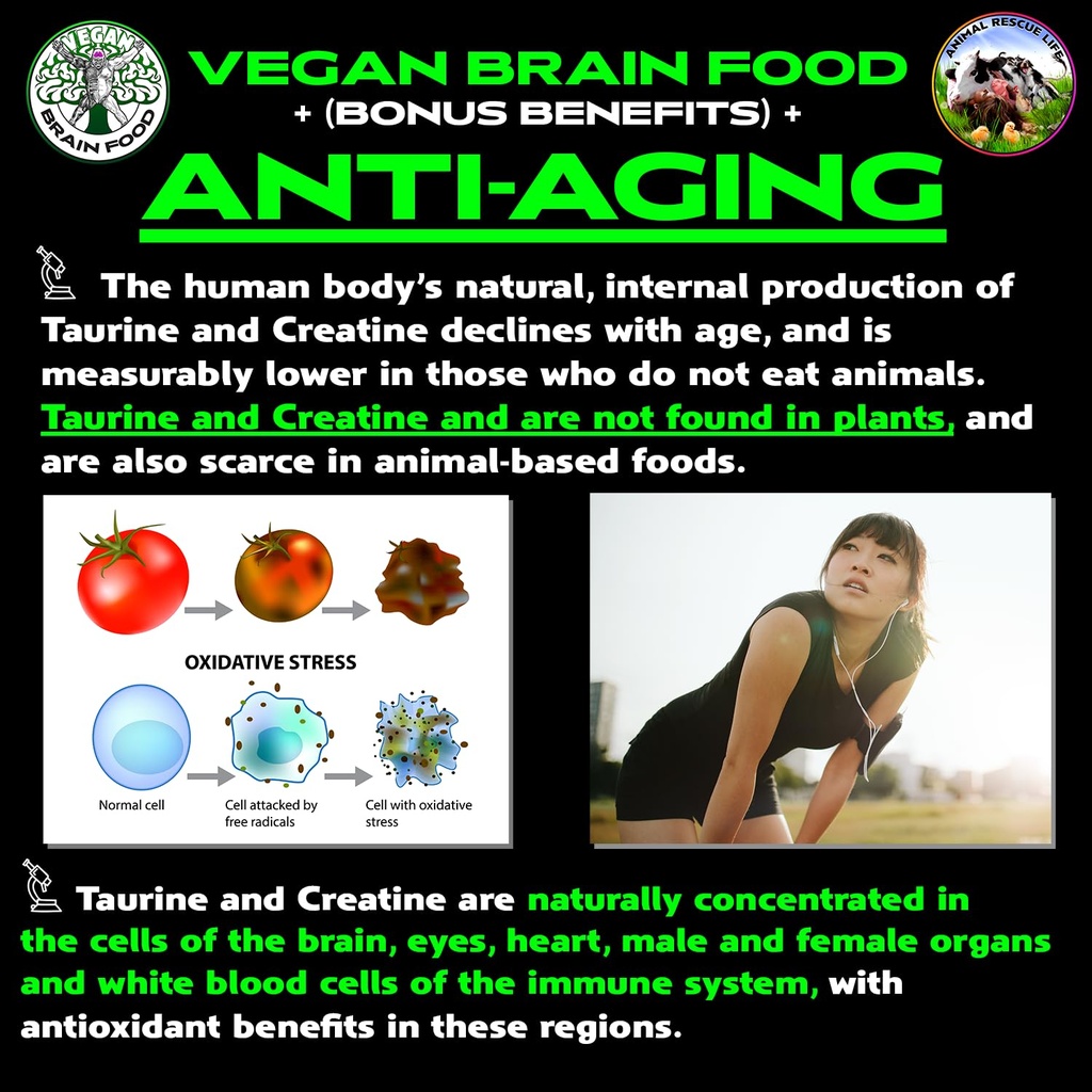 vegan-s-best-friend-plant-based-multivit-4.jpg