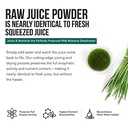triquetra-health-organic-spirulina-powde-6.jpg