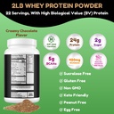 shifaa-nutrition-2-lbs-halal-whey-protei-2.jpg