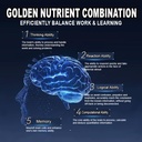 smarto-one-brain-nutrition-proprietary-b-3.jpg