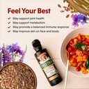 barlean-s-omega-twin-liquid-flaxseed-oil-5.jpg