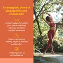 natural-factors-glucosamine-chondroitin--2.jpg