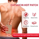 capsaicin-patches-20-count-hot-capsicum--5.jpg