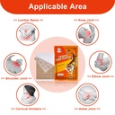 kongdy-30-pcs-tiger-patches-hot-capsicum-6.jpg