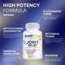 research-verified-joint-support-glucosam-3.jpg