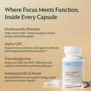 shed-nad-supplement-vitality-complex-wit-3.jpg