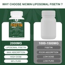liposomal-fisetin-supplement-2000mg-98-p-3.jpg