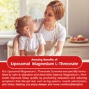 3-pack-liposomal-magnesium-threonate-hig-5.jpg