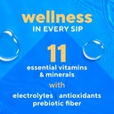 vitafusion-hydraboost-hydration-drink-mi-4.jpg
