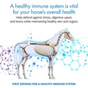 healthygut-probiotics-for-horses-dietary-2.jpg