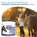 healthygut-probiotics-for-horses-dietary-6.jpg
