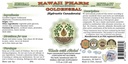 hawaii-pharm-goldenseal-alcohol-free-liq-2.jpg