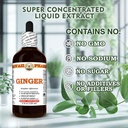 ginger-zingiber-officinale-dry-root-tinc-6.jpg