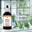 holy-basil-ocimum-tenuiflorum-dry-leaf-t-6.jpg