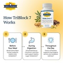 triblock7-frankincense-myrrh-bible-inspi-4.jpg