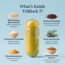 triblock7-frankincense-myrrh-bible-inspi-5.jpg