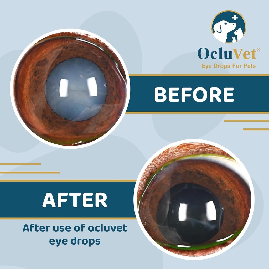 ocluvet-eye-drops-for-pets-clinically-st-3.jpg