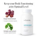 modere-antioxidant-vitamins-a-and-c-with-5.jpg