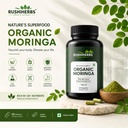 pure-moringa-leaf-powder-capsules-vegan--4.jpg