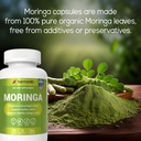 moringa-capsules-pure-moringa-powder-sup-6.jpg
