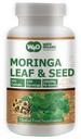 moringa-oleifera-leaf-and-seed-powder-80-2.jpg