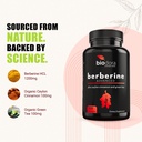 berberine-advanced-plus-with-1200mg-berb-3.jpg