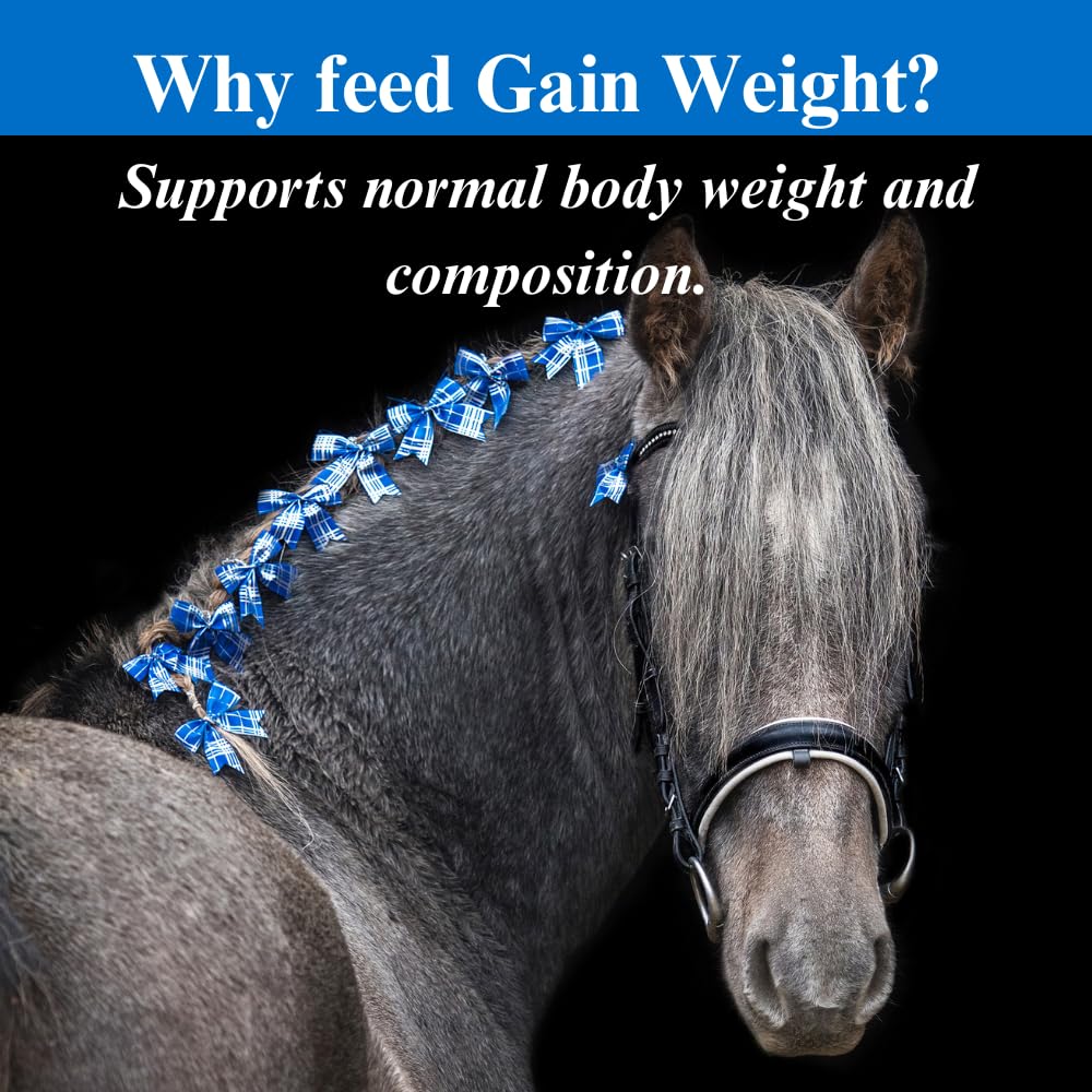 su-per-gain-weight-for-horses-equine-sup-5.jpg