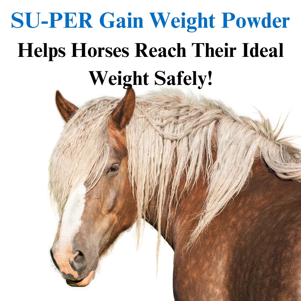 su-per-gain-weight-for-horses-equine-sup-3.jpg