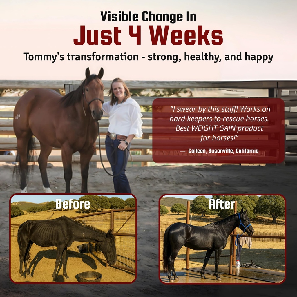 horse-guard-super-weight-gain-24-lb-3-in-4.jpg