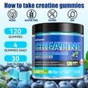 creatine-monohydrate-gummies-for-men-wom-5.jpg